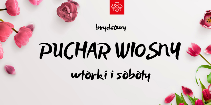 BRYDŻOWY PUCHAR (1)