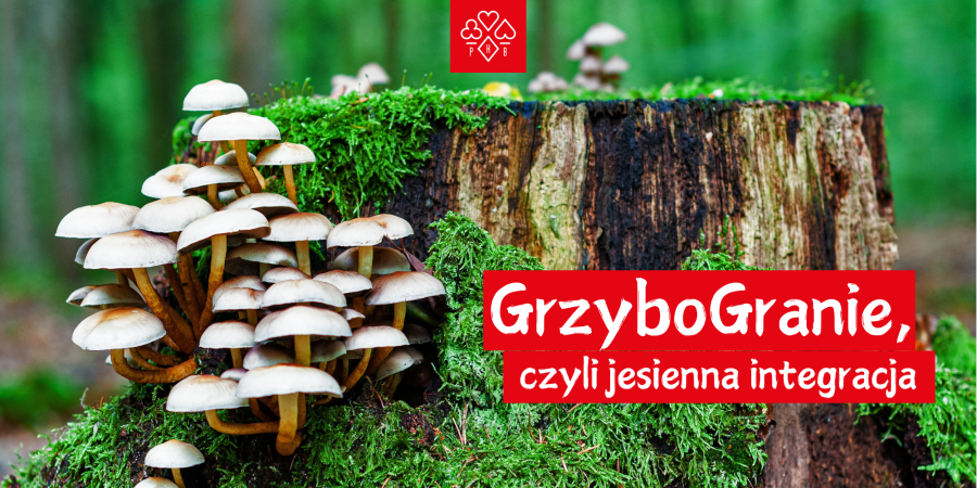 GrzyboGranie