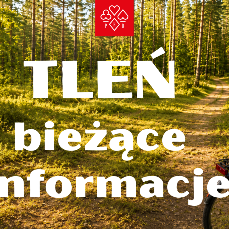 WWW szablon (26)