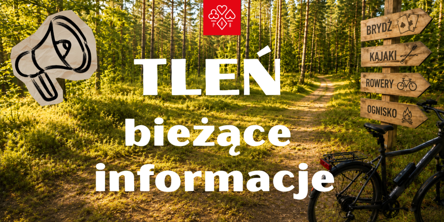 WWW szablon (26)